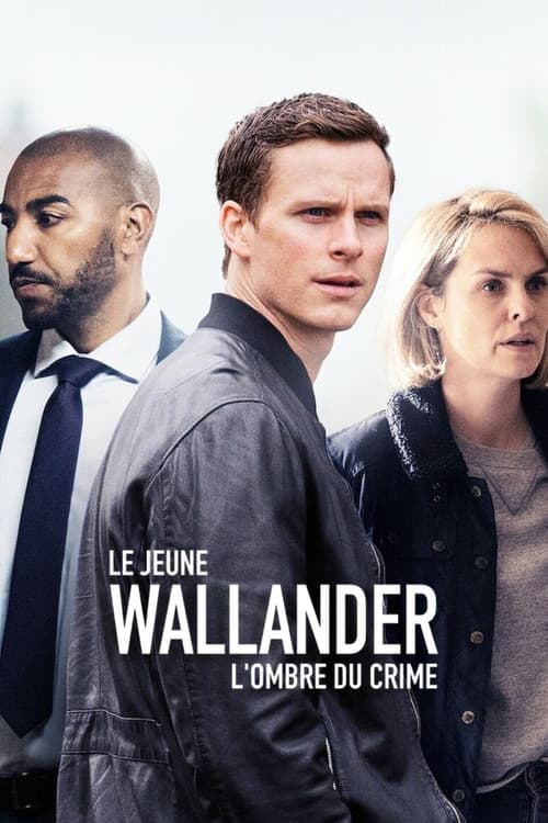 Affiche de Le Jeune Wallander