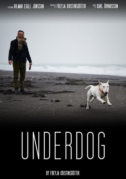 Affiche de Rjómi