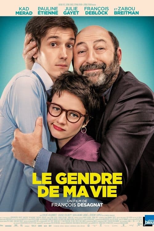Affiche de Le Gendre de ma vie