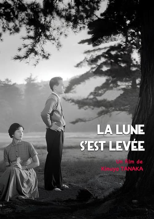 Affiche de La lune s'est levée