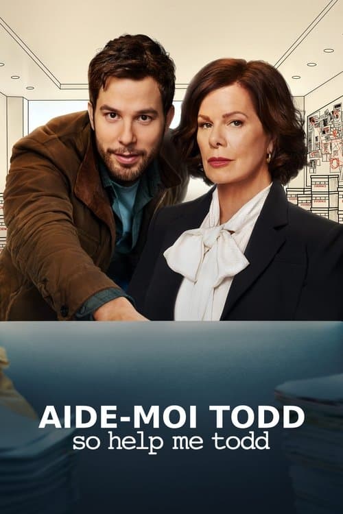 Affiche de So Help Me Todd