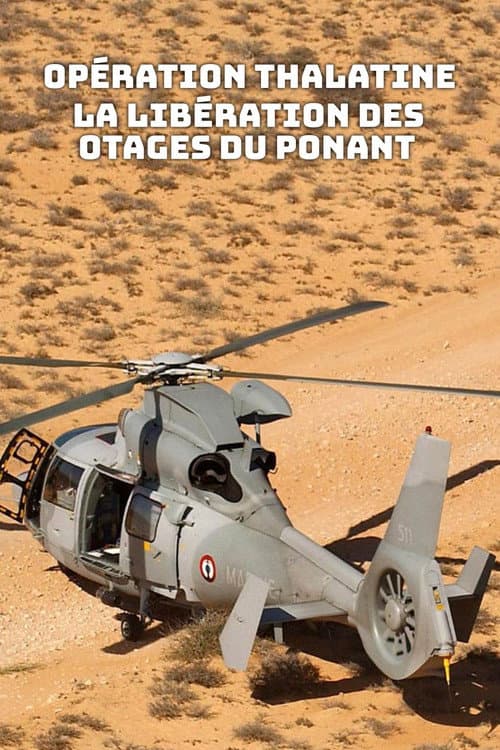 Affiche de Opération Thalatine : La libération des otages du Ponant
