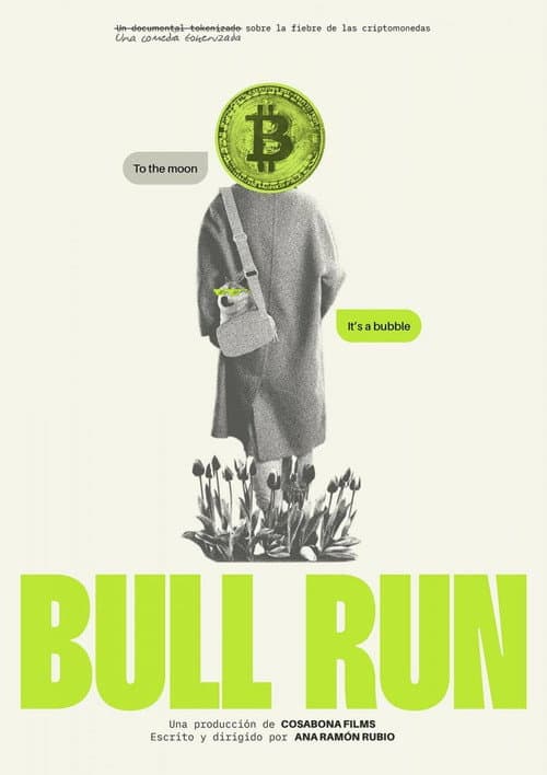 Affiche de Bull Run