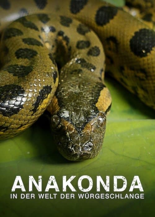 Affiche de Anaconda : Le tueur de l'ombre