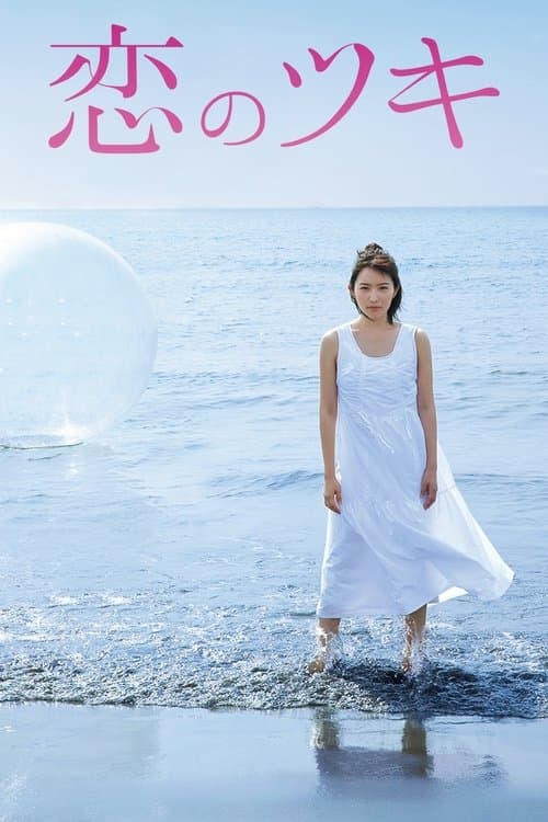 Affiche de Love and Fortune