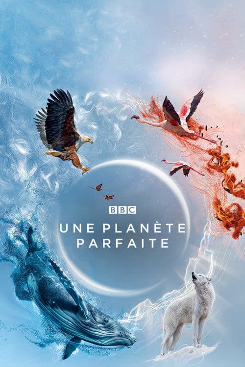 Affiche de Une planète parfaite