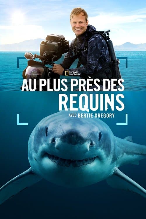 Affiche de Au plus près des requins avec Bertie Gregory