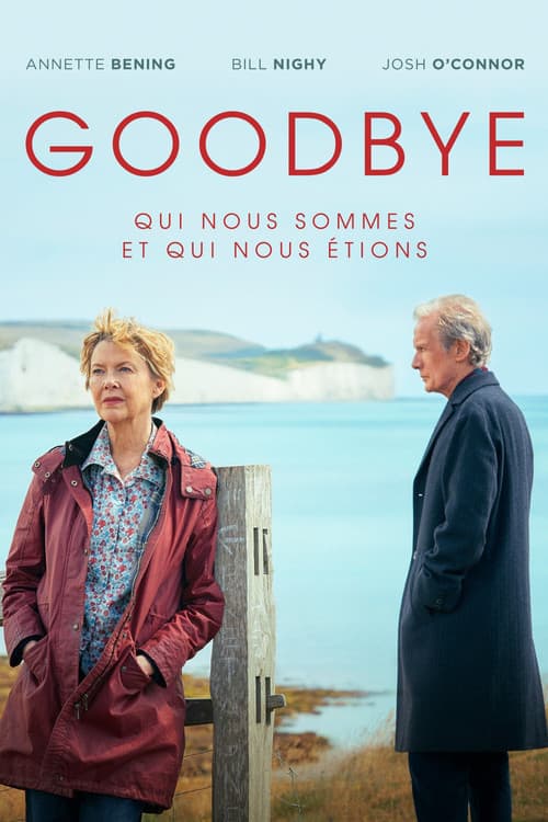 Affiche de Goodbye