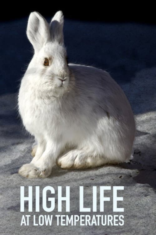 Affiche de Lungau - Wildnis im Herzen der Tauern