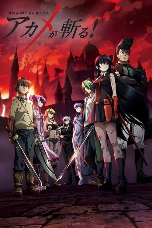 Affiche de Red Eyes Sword : Akame ga Kill!