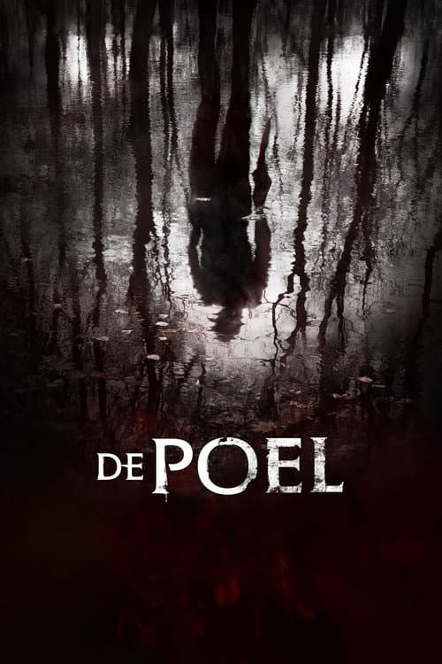 Affiche de The Pool