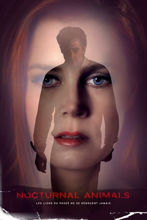 Affiche de Nocturnal Animals