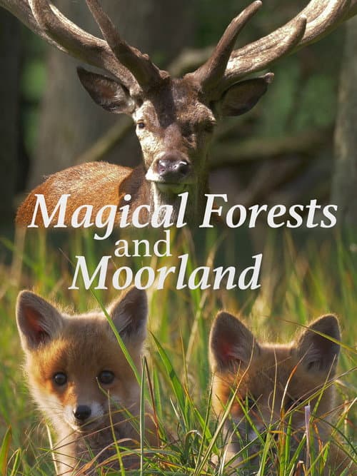 Affiche de Magical Forests and Moorland