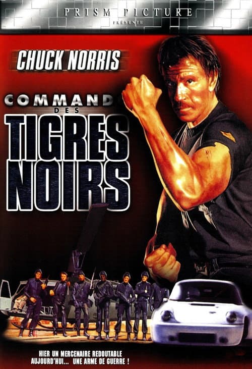 Affiche de Le commando des Tigres Noirs