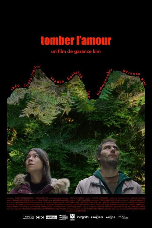 Affiche de Tomber l'amour