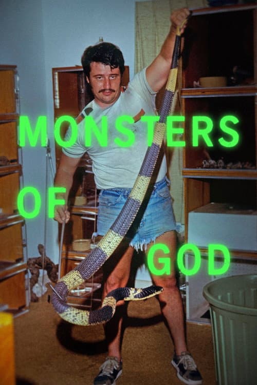 Affiche de Monsters of God