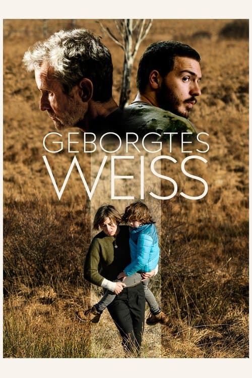 Affiche de Deux visages pour une mère