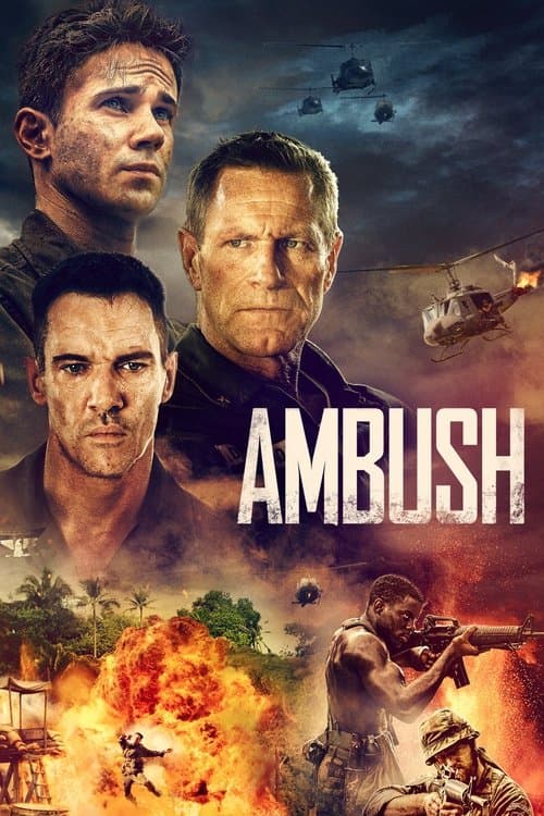 Affiche de Ambush