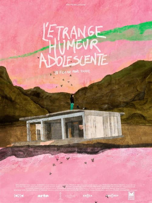 Affiche de L'Étrange Humeur Adolescente