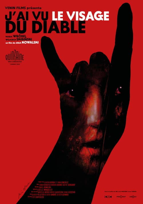 Affiche de J'ai vu le visage du diable