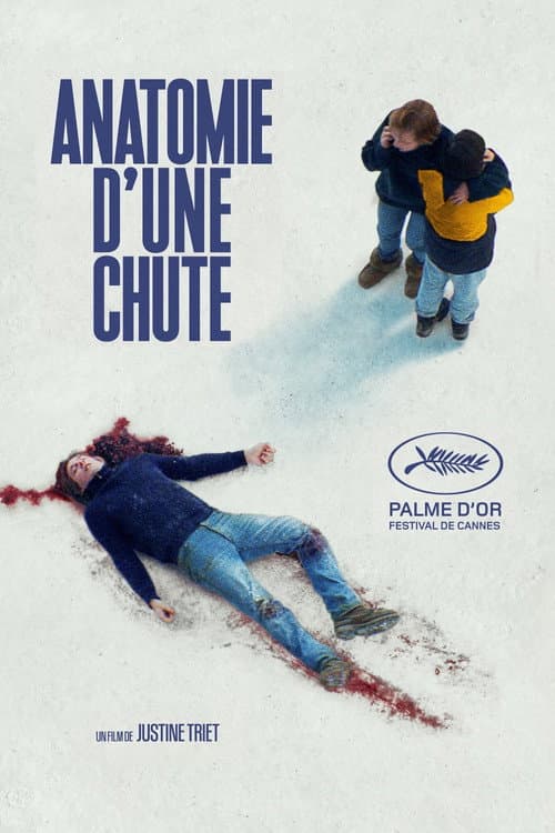 Affiche de Anatomie d'une chute