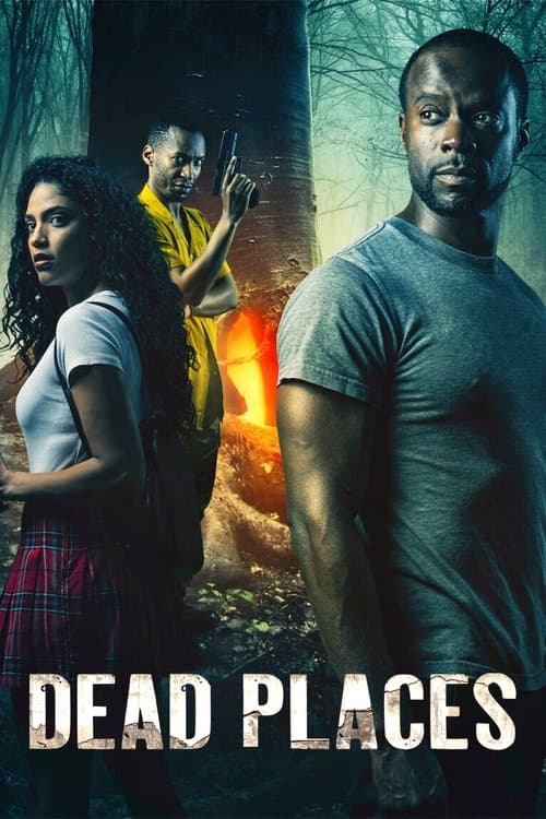 Affiche de Dead Places