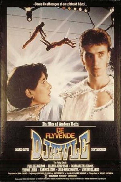 Affiche de De flyvende djævle
