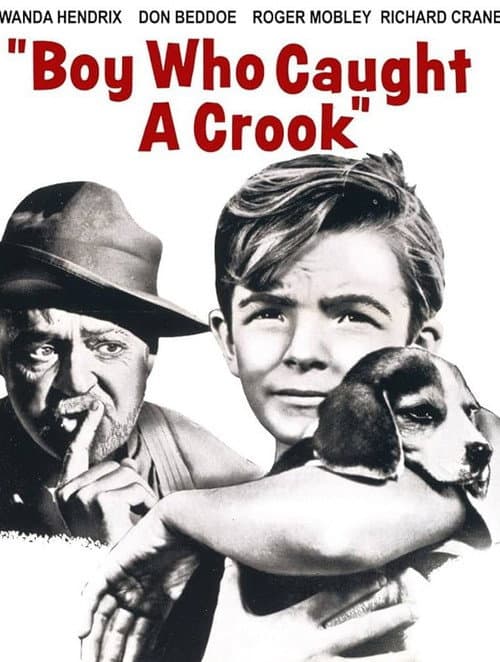 Affiche de Boy Who Caught a Crook