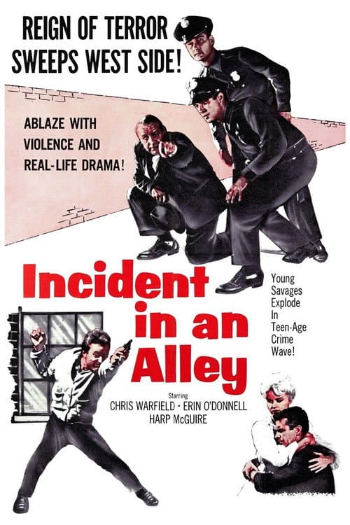 Affiche de Incident in an Alley