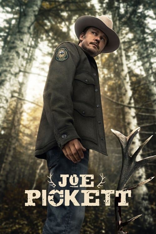 Affiche de Joe Pickett