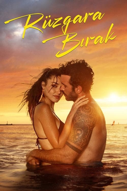 Affiche de Au gré du vent