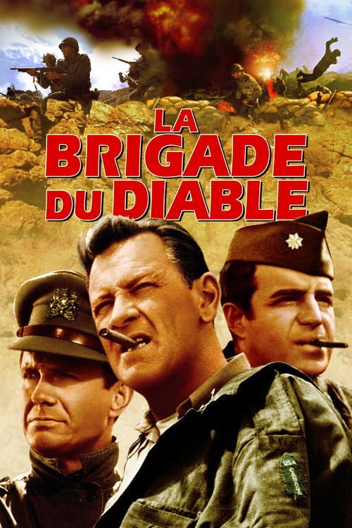 Affiche de La Brigade du diable