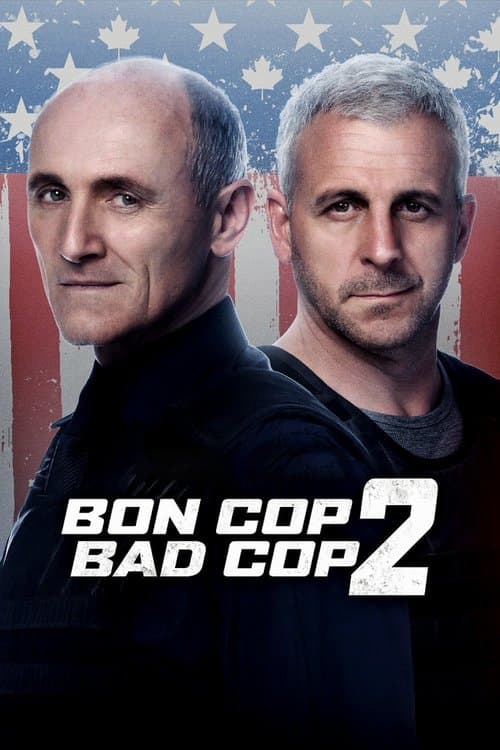 Affiche de Bon Cop Bad Cop 2