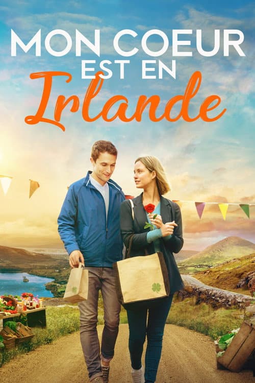 Affiche de L'hôtel des coups de foudre