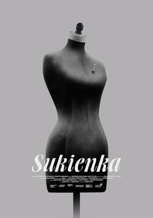 Affiche de The Dress