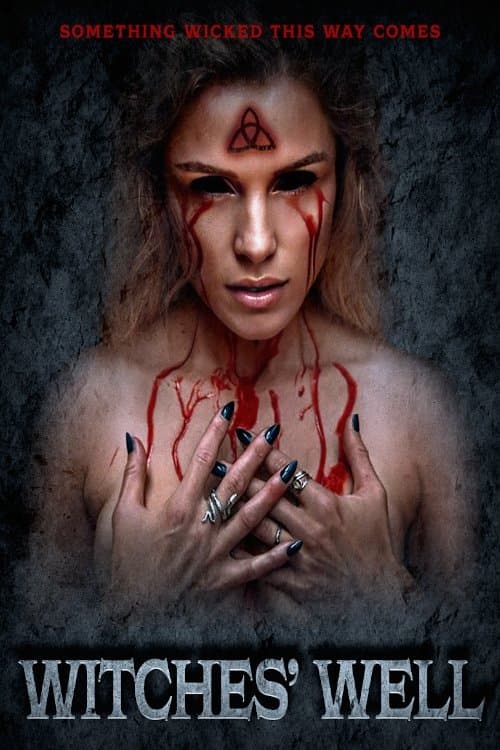 Affiche de Le Puits des Sorcières