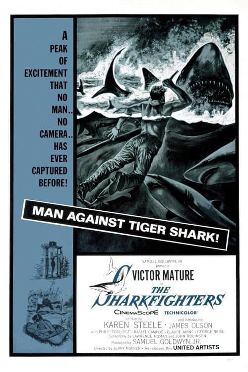 Affiche de Opération requins