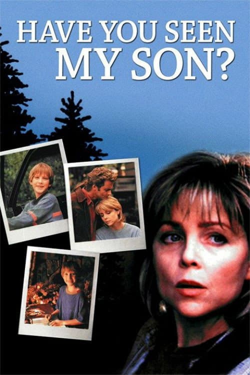 Affiche de Have You Seen My Son
