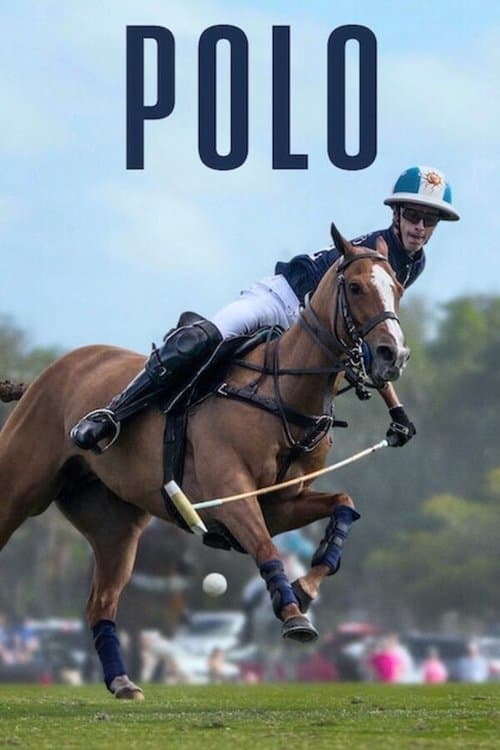 Affiche de Polo