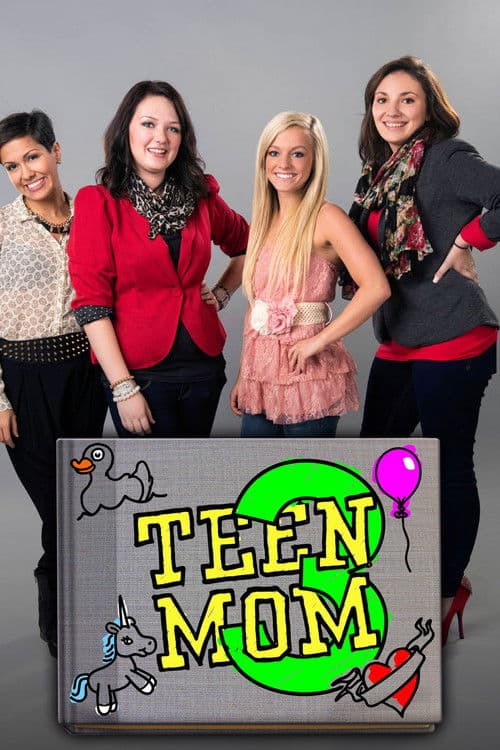 Affiche de 17 ans et maman 3