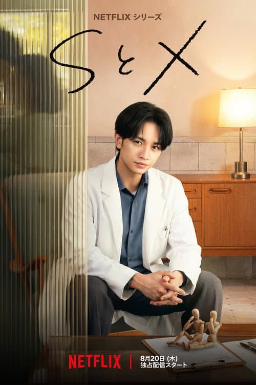 Affiche de S&X