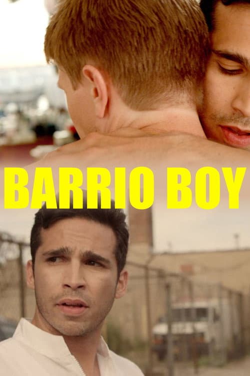 Affiche de Barrio Boy