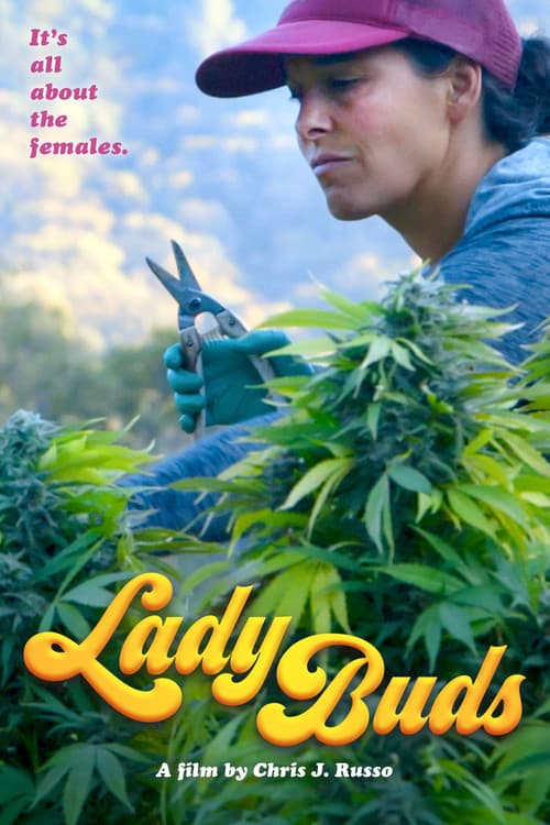 Affiche de Lady Buds