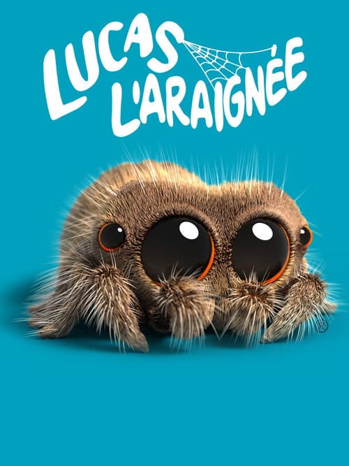 Affiche de Lucas l'araignée