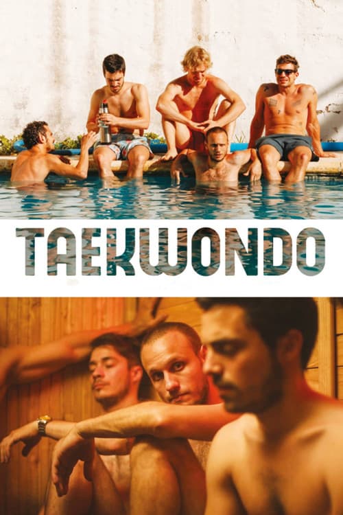 Affiche de Taekwondo