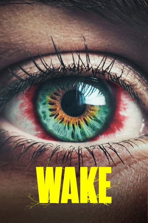 Affiche de Vaka - Les Éveillés