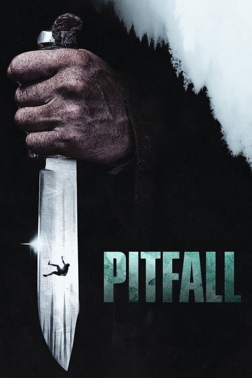 Affiche de Pitfall