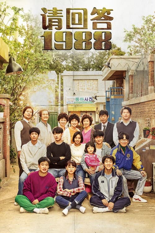 Affiche de 请回答1988