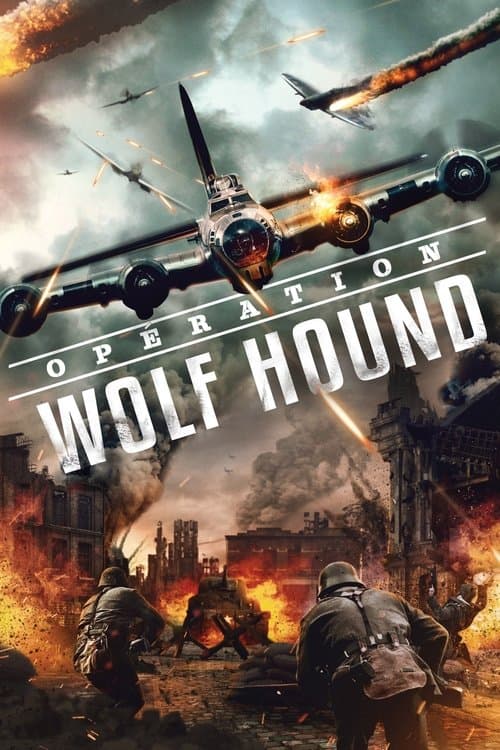 Affiche de Opération Wolf Hound