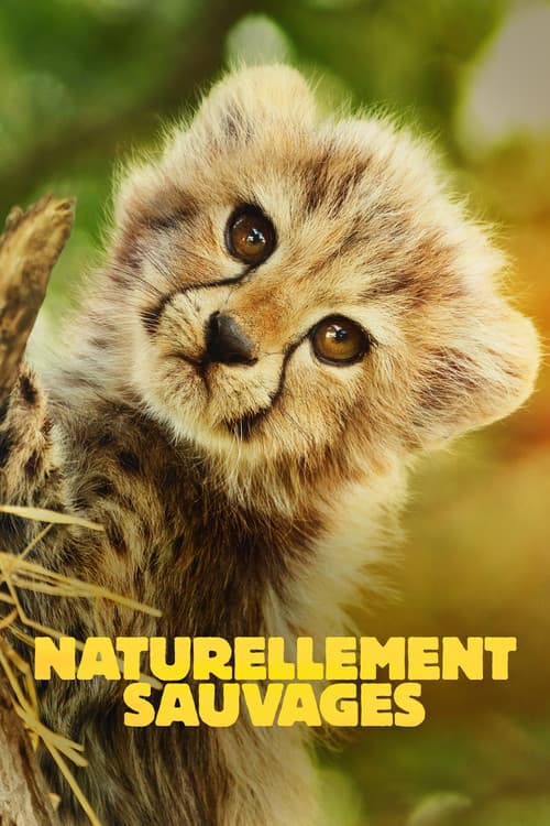 Affiche de Naturellement sauvages